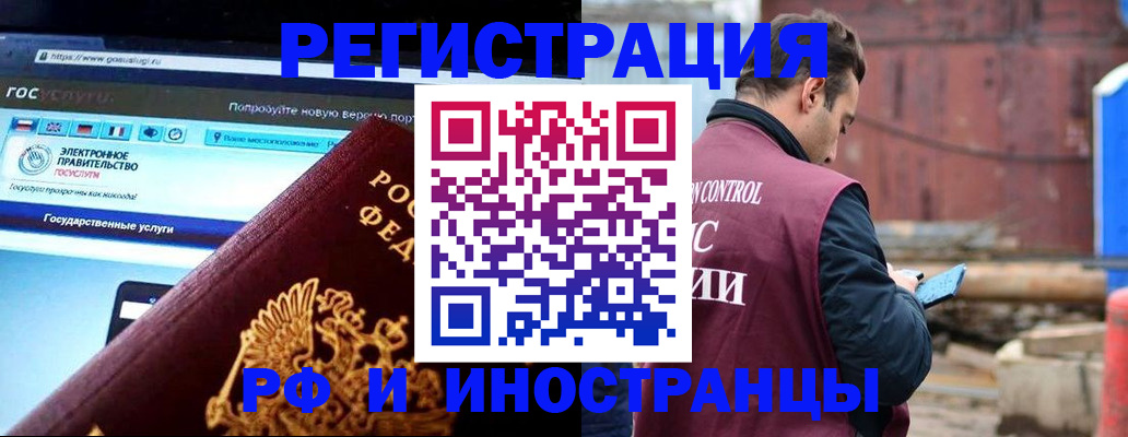 прописка поиск в Коле